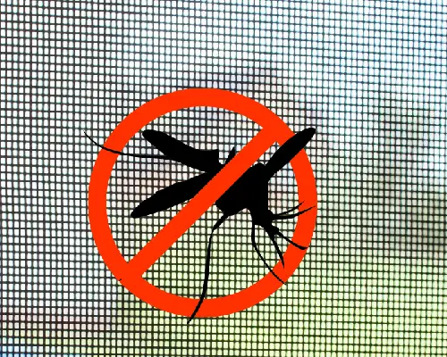 Mosquito net installation service